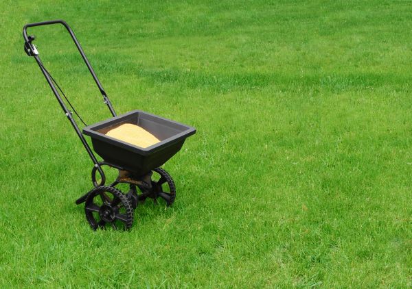 Wilmington Lawn Treatment