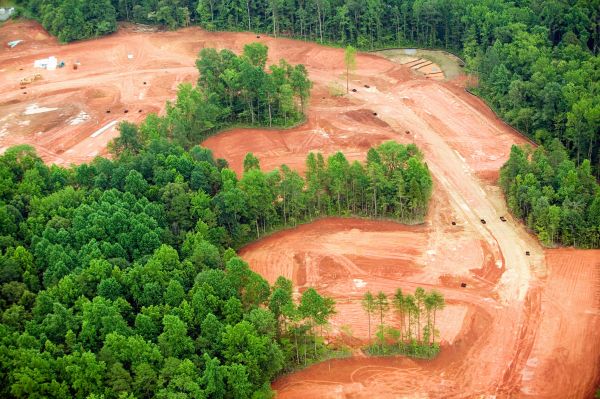 Wilmington Land Clearing